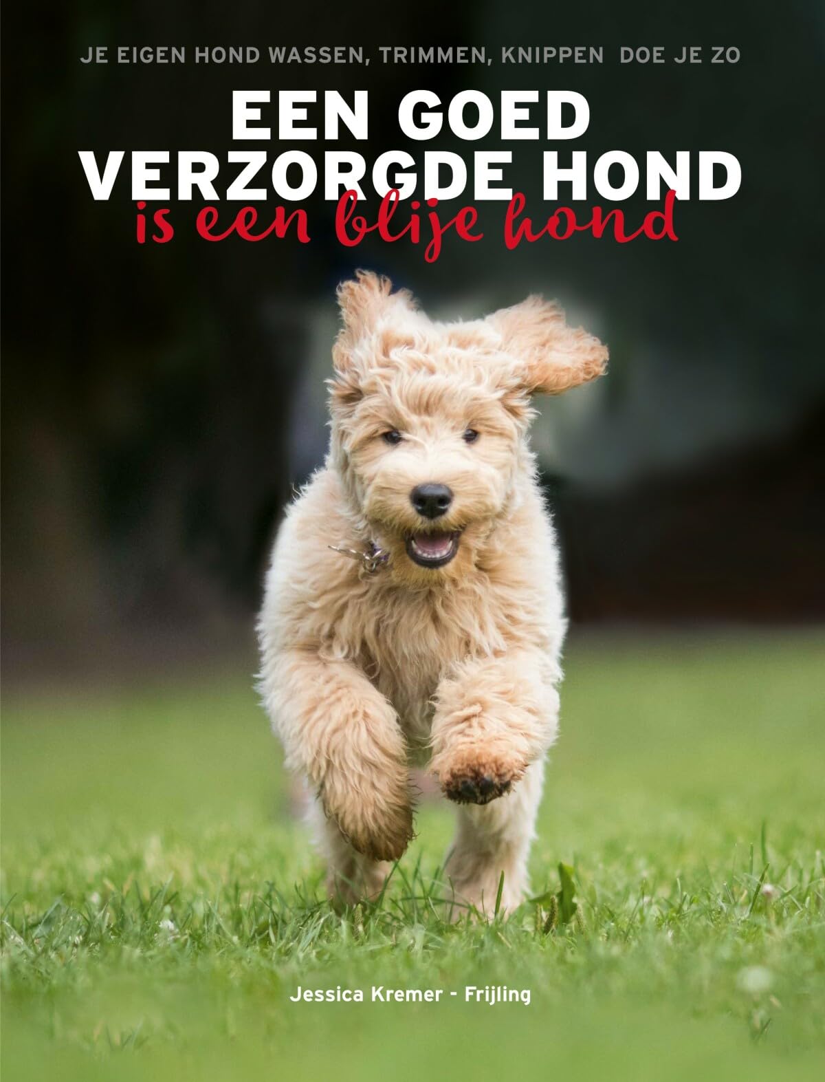 Een goed verzorgde hond is een blije hond: je eigen hond wassen, trimmen en knippen doe je zo book