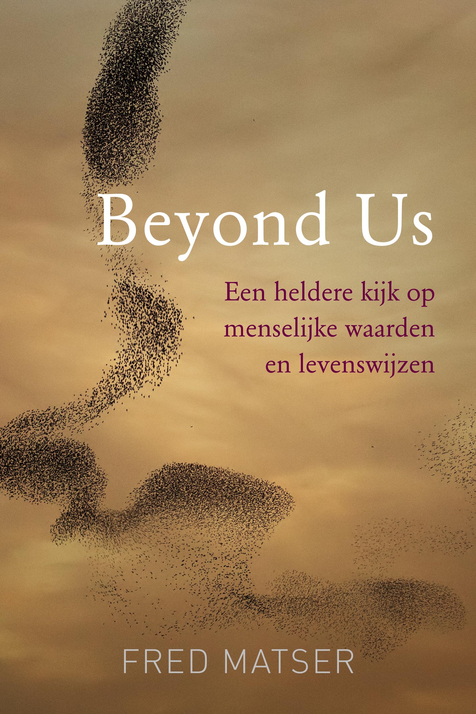 Beyond us: een heldere kijk op menselijke waarden en levenswijzen book