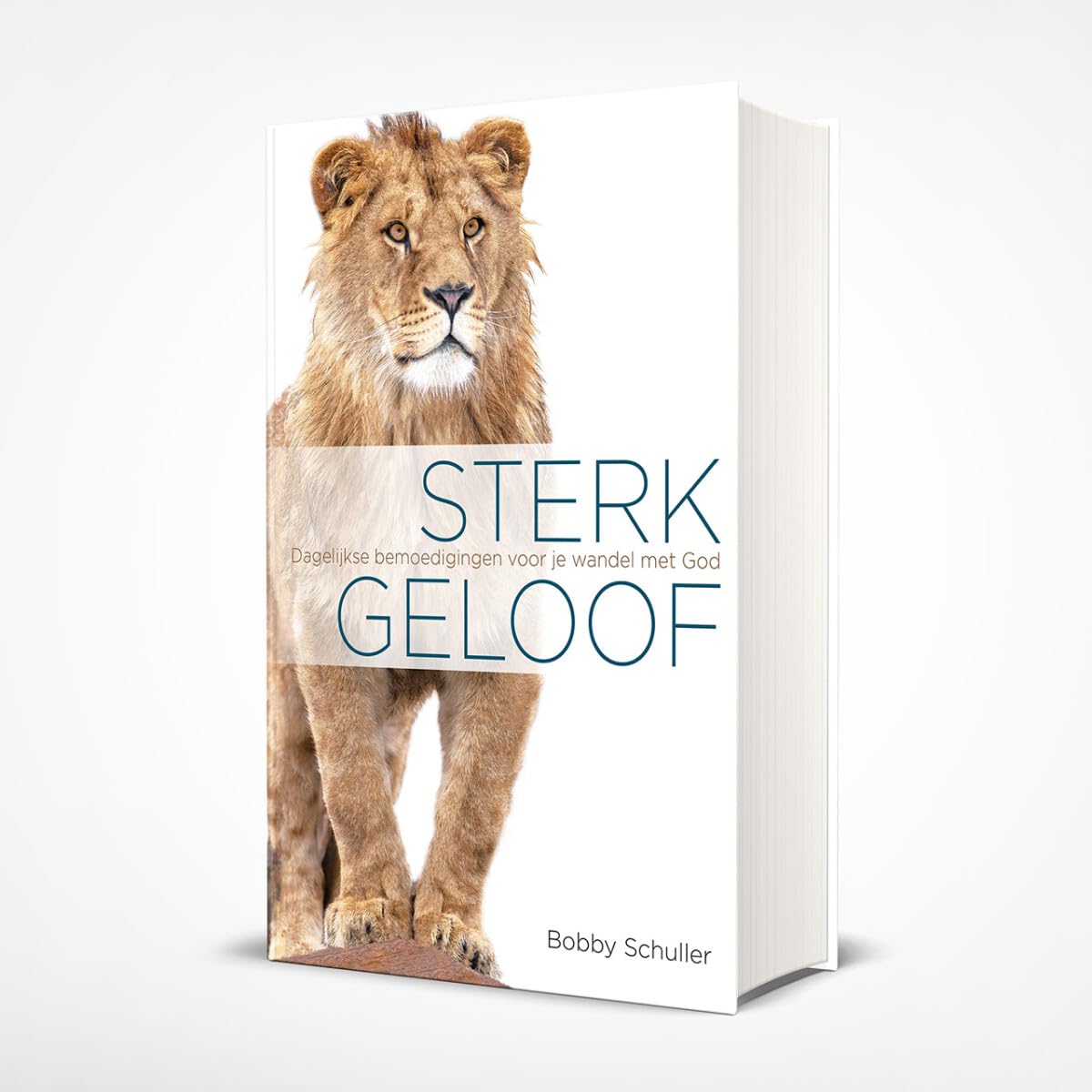 Sterk geloof: Dagelijkse bemoedigingen voor je wandel met God book