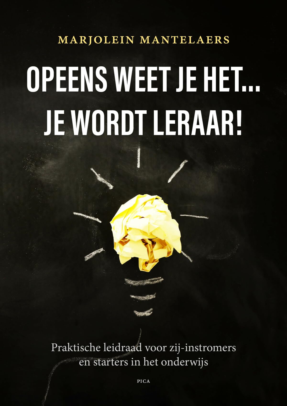 Opeens weet je het... je wordt leraar!: praktische leidraad voor zij-instromers en starters in het onderwijs Business, Finance & Career
