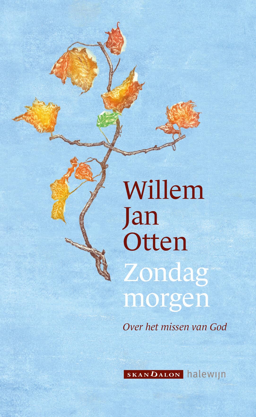Verrijzen voor beginners: over het missen van God book