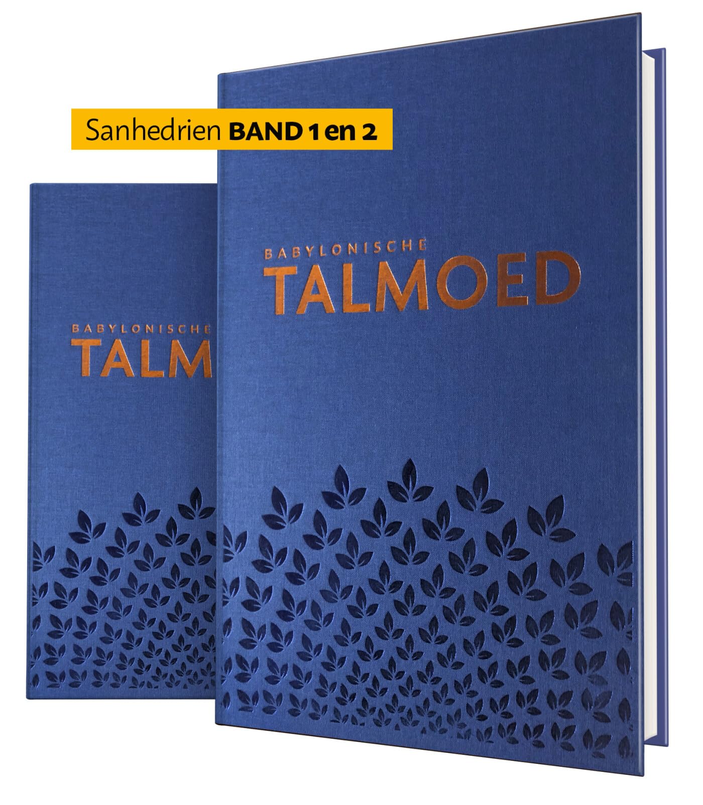 2-pak Talmoed Sanhedrien I + II (hfst 1-6) Religion & Esotericism