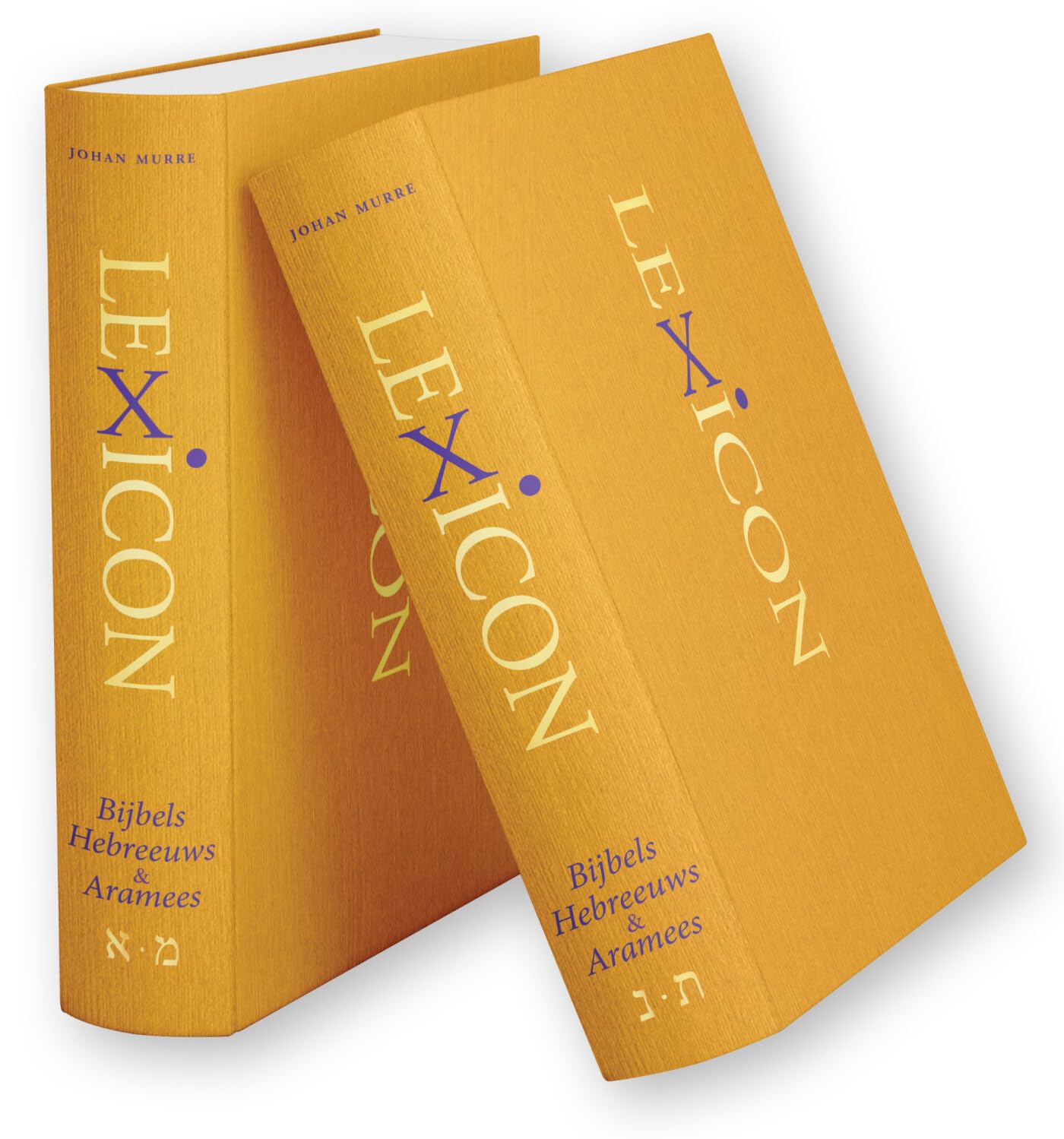 Lexicon Bijbels Hebreeuws & Aramees (2-delig): Woordenboek Hebreeuws-Nederlands book