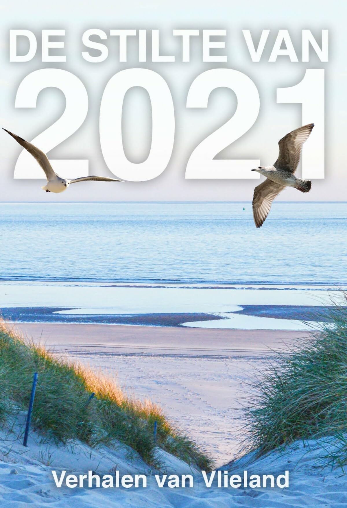 De stilte van 2021: Verhalen van Vlieland book