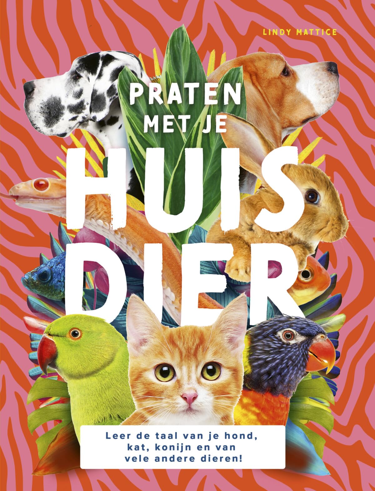 Praten met je huisdier: leer de taal van je hond, kat, konijn en van vele andere dieren! book
