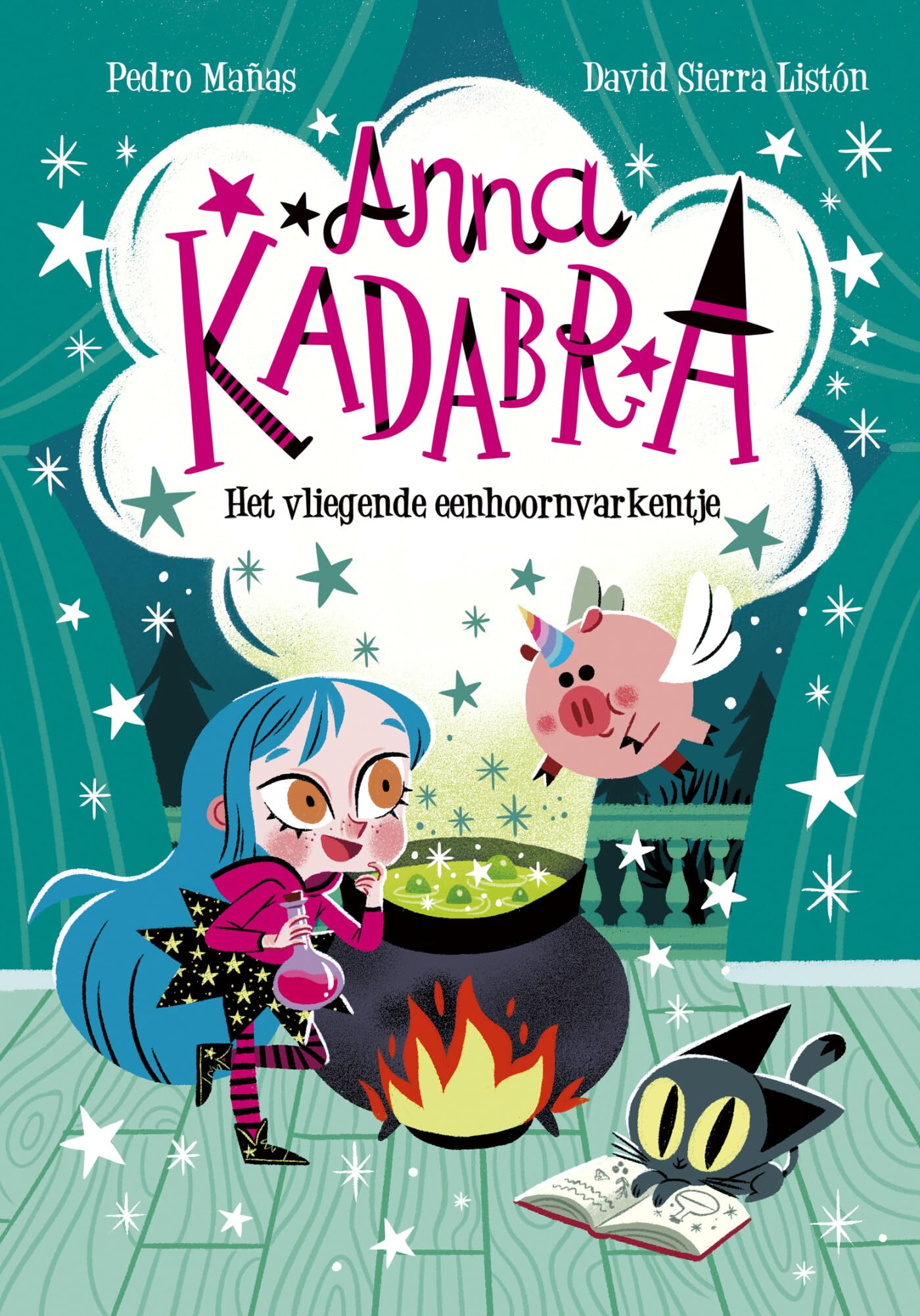 Het vliegende eenhoornvarkentje book