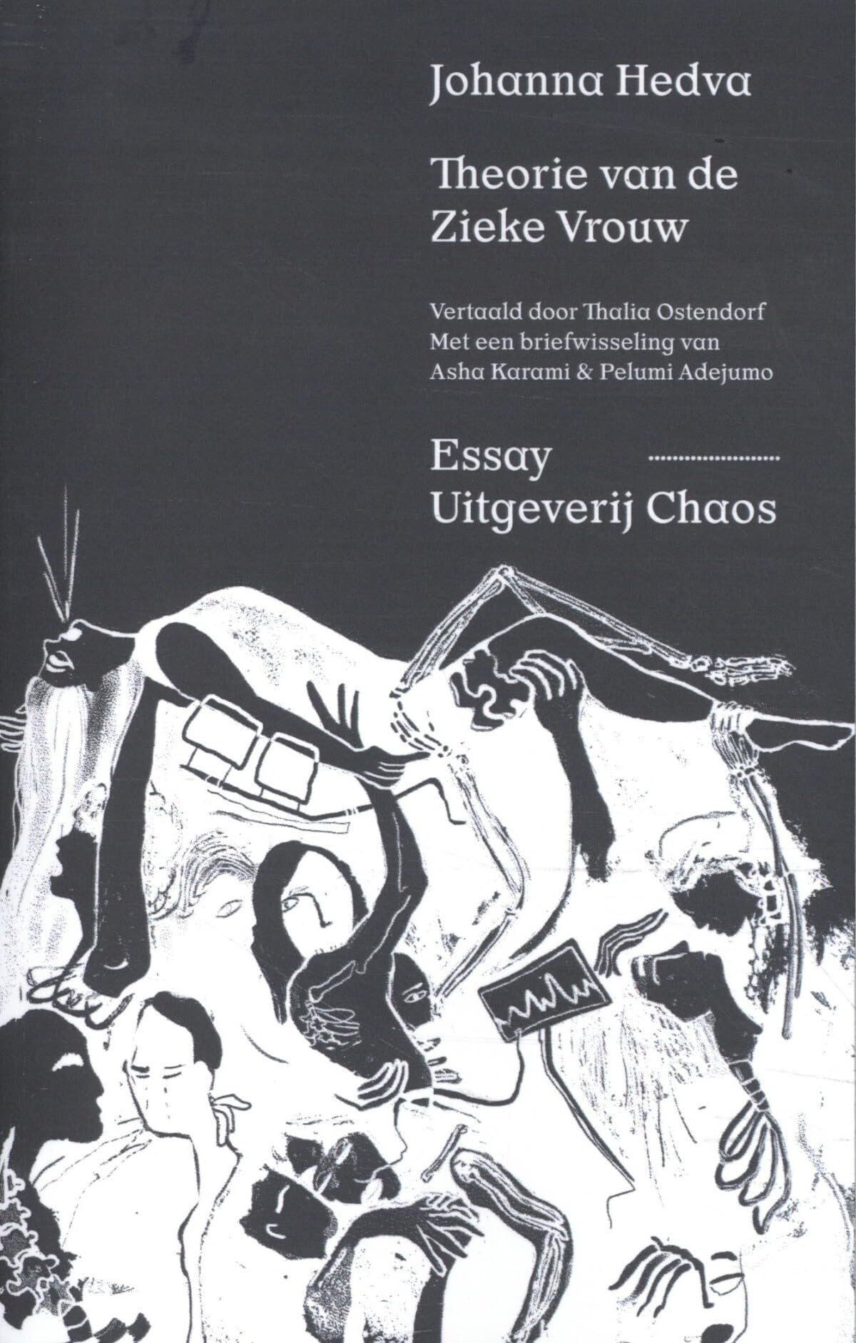 Theorie van de Zieke Vrouw book