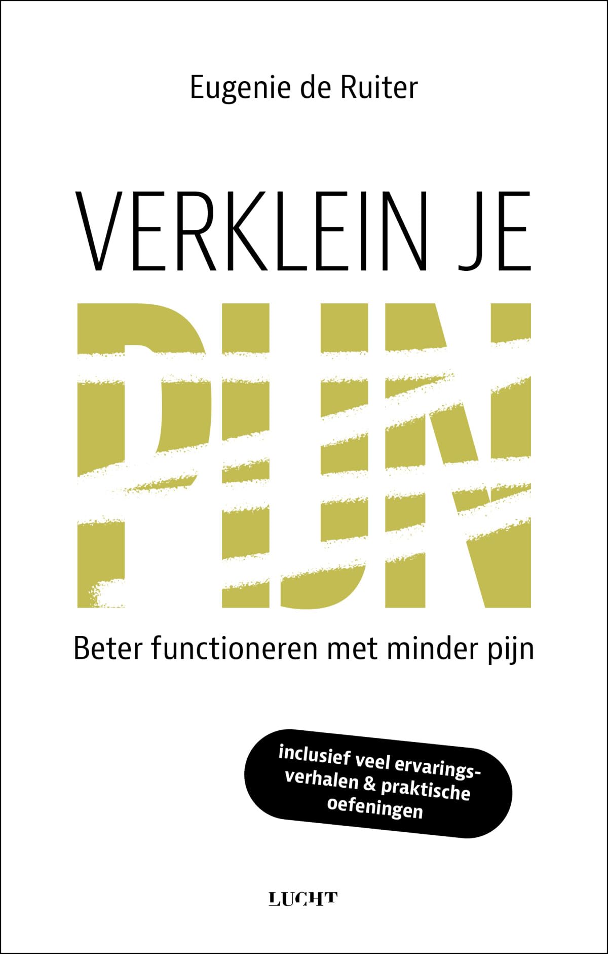 Verklein je pijn: inzicht in pijn en pijnvermindering book