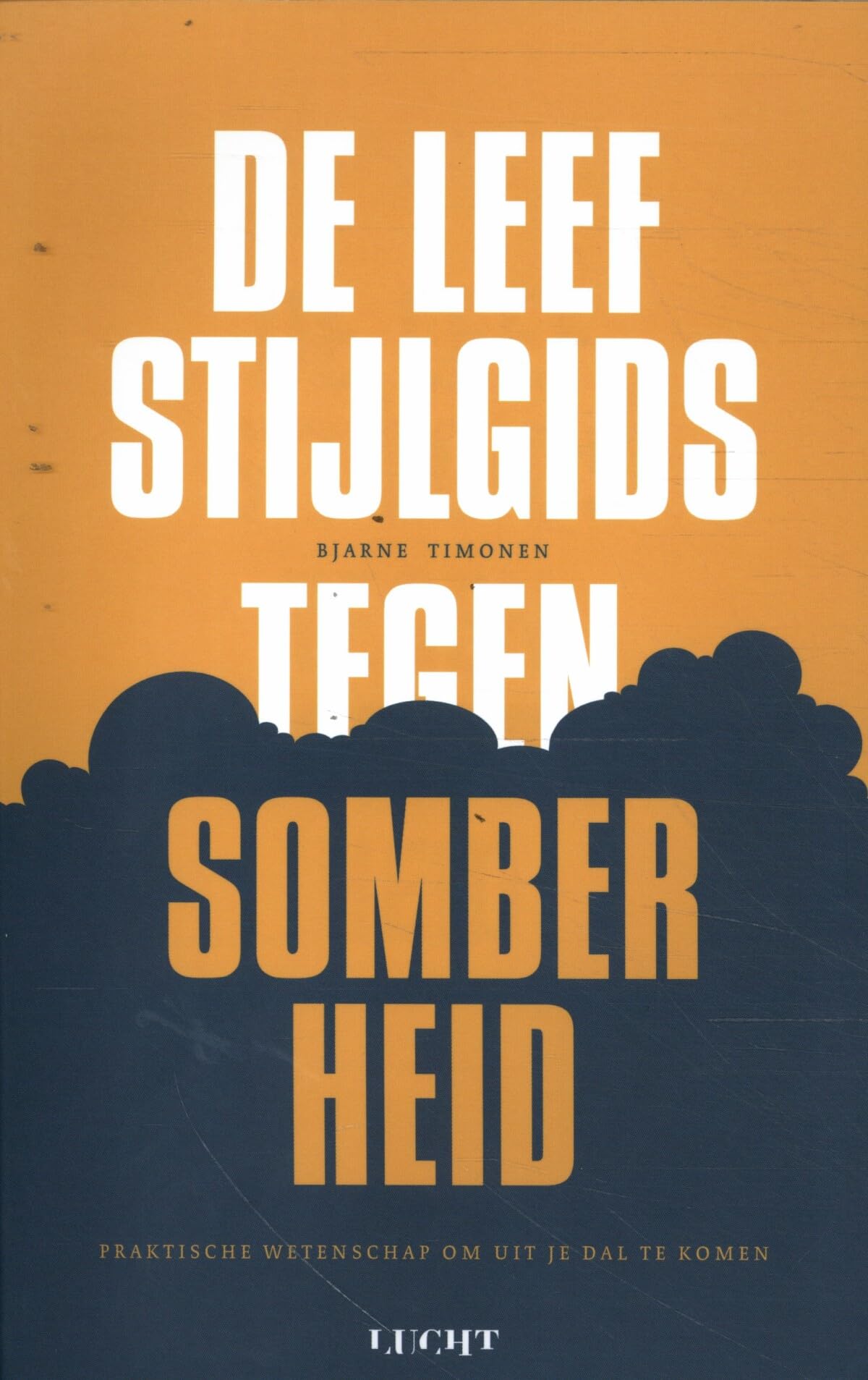 De leefstijlgids tegen somberheid: praktische wetenschap om uit je dal te komen book