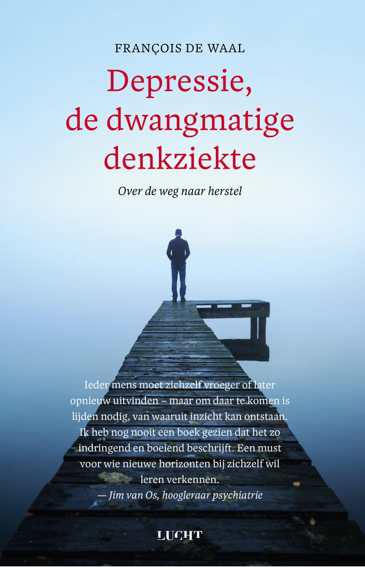 Depressie, de dwangmatige denkziekte: over de weg naar herstel book