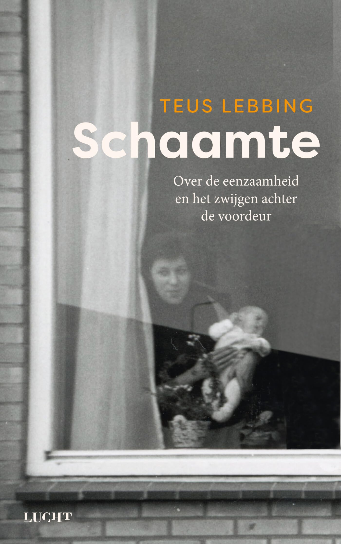 Schaamte: Over de eenzaamheid en het zwijgen achter de voordeur book
