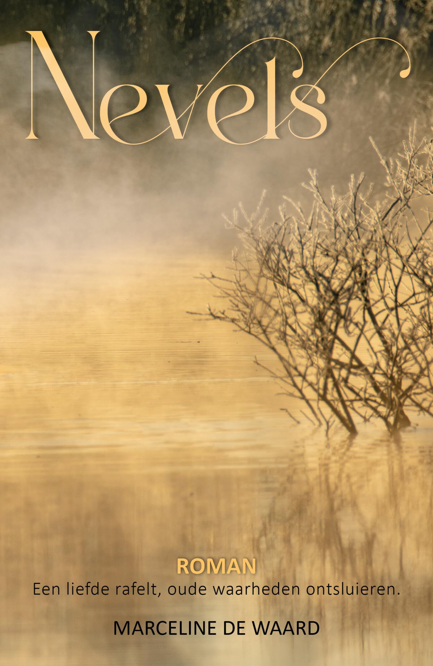 Nevels: Een liefde rafelt, oude waarheden ontsluieren. book