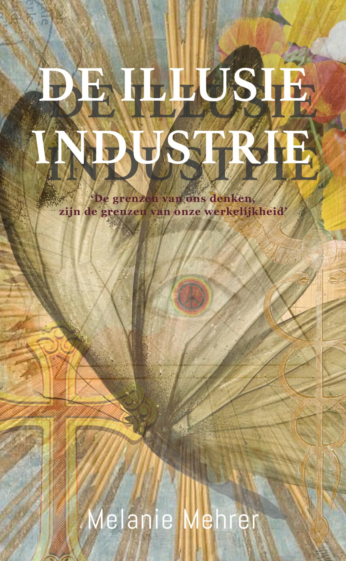 De illusie-industrie Contemporary literature Books