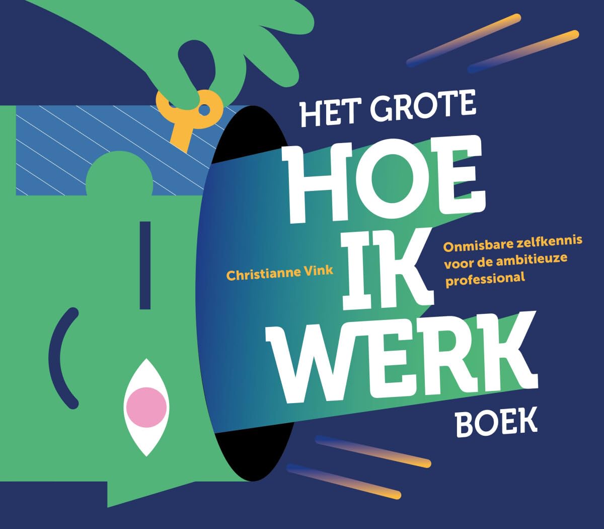 Het grote hoe ik werkboek: Onmisbare zelfkennis voor de ambitieuze professional book