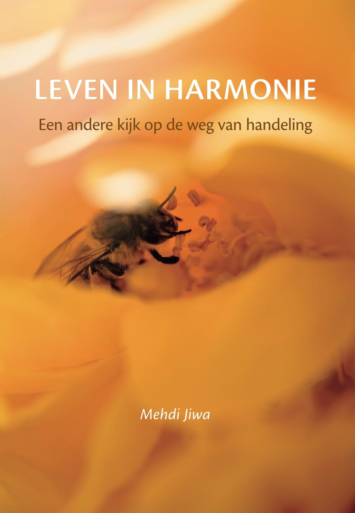 Leven in harmonie: een andere kijk op de weg van handeling (Levensweg) Philosophy