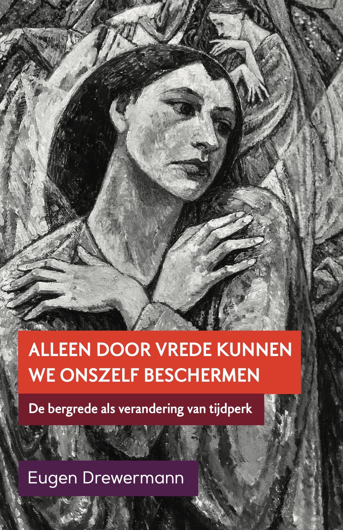 Alleen door vrede: vredeseducatie aan de hand van de Bergrede book