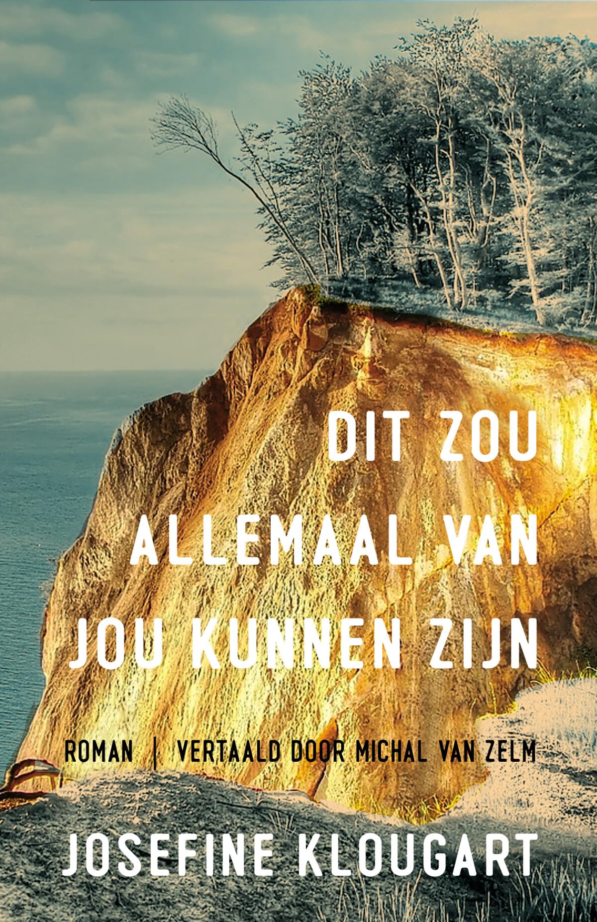 Dit zou allemaal van jou kunnen zijn Contemporary literature