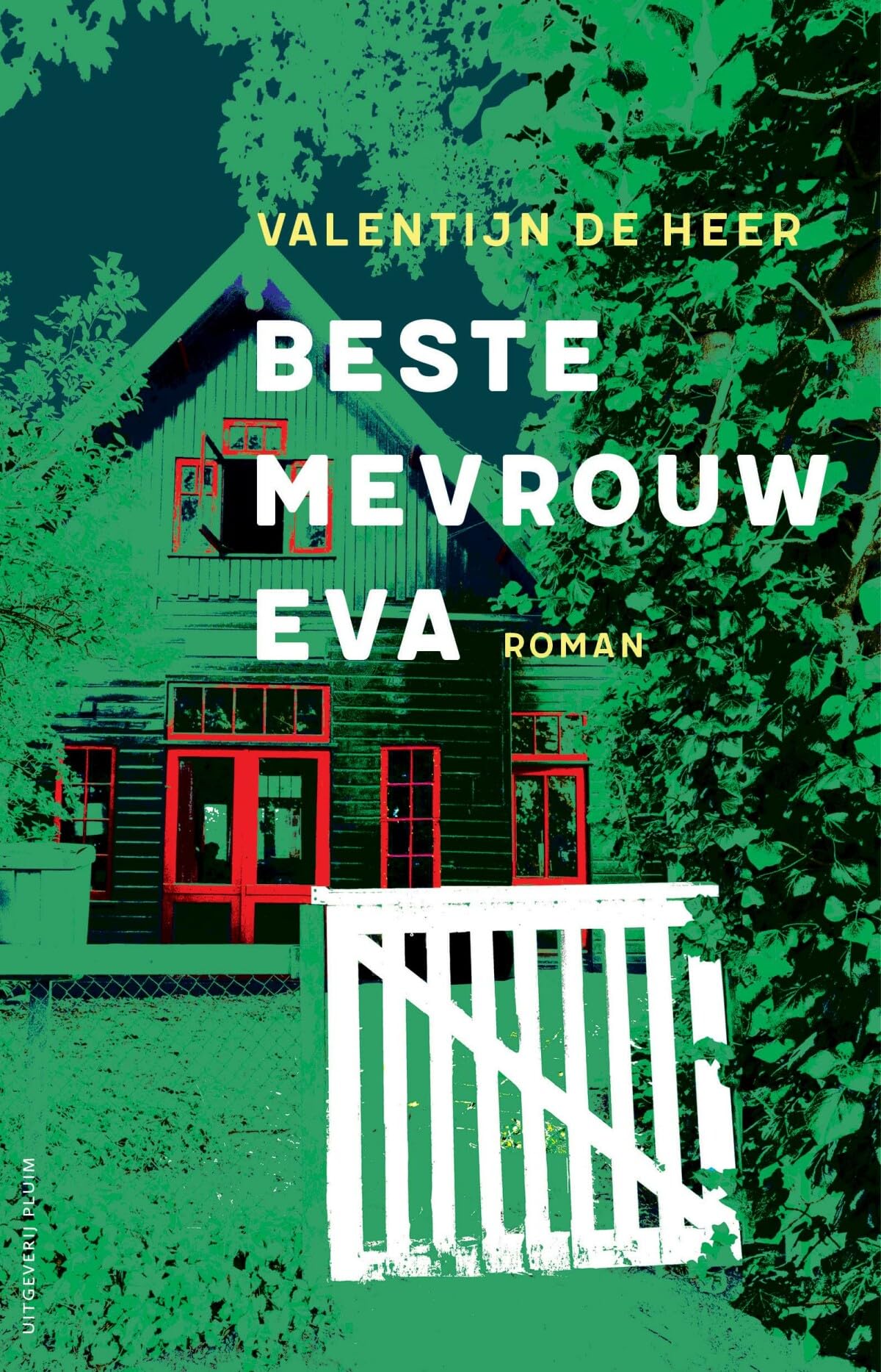 Beste mevrouw Eva: roman book