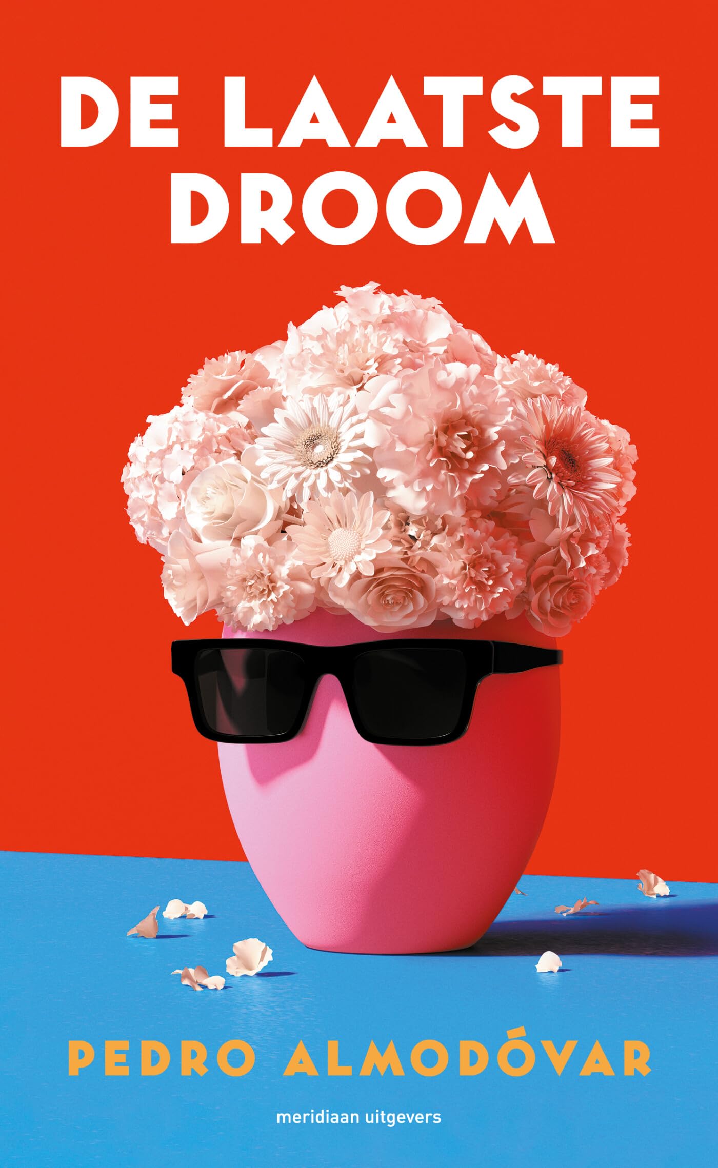 De laatste droom: een gefragmenteerde, onvolledige en enigszins cryptische autobiografie LGBTQ+