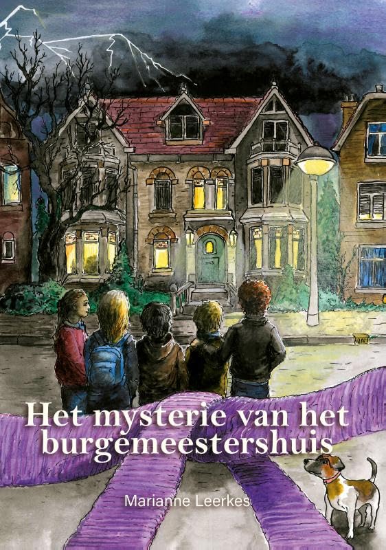 Het mysterie van het burgemeestershuis book