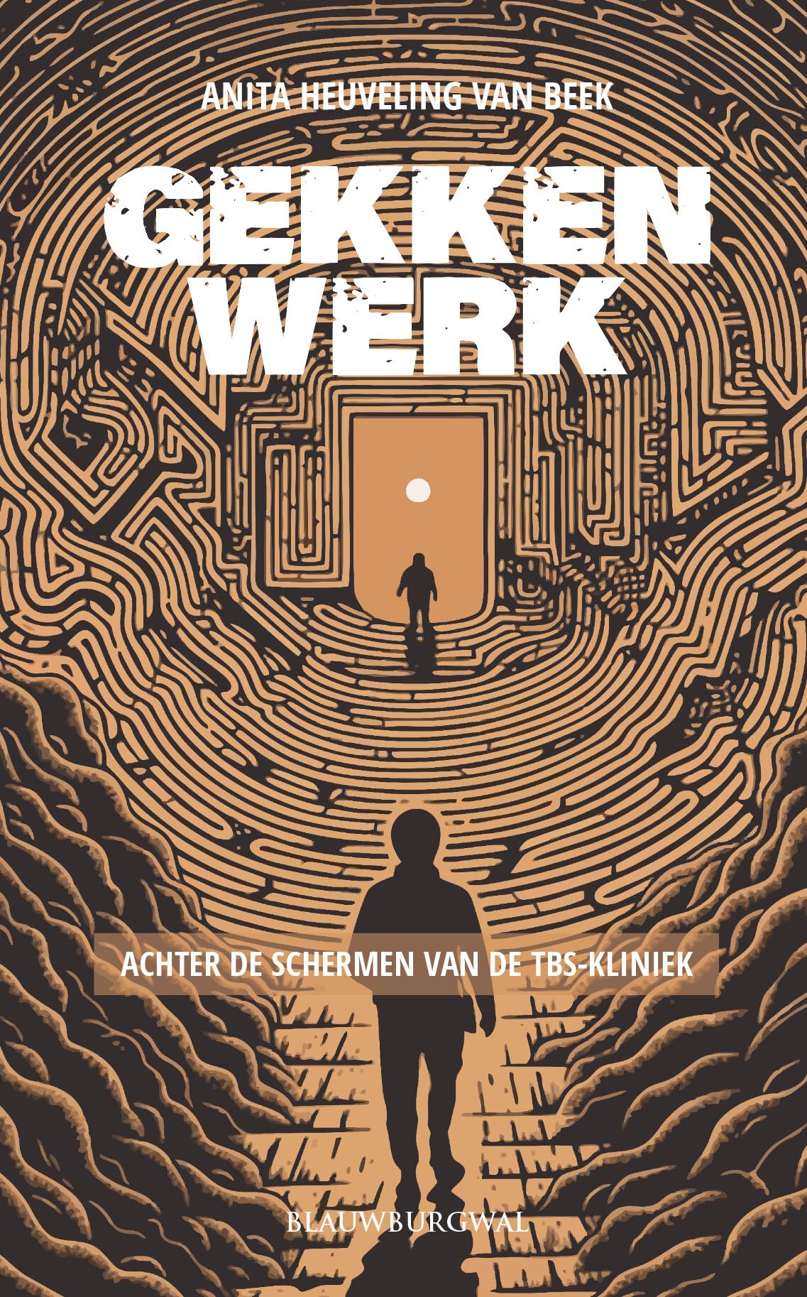 Gekkenwerk: achter de schermen van de tbs-kliniek book