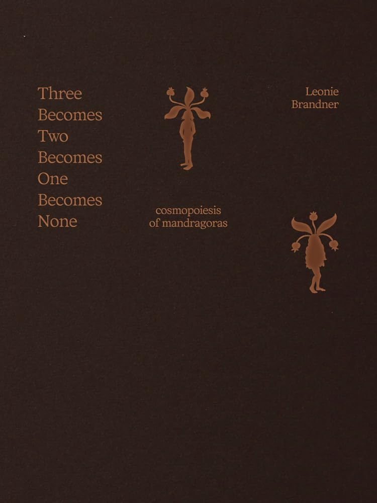 Leonie Brandner: Three Becomes Two Becomes One Becomes None Contemporary literature