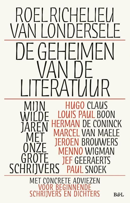 De geheimen van de literatuur: Mijn wilde jaren met onze grote schrijvers book