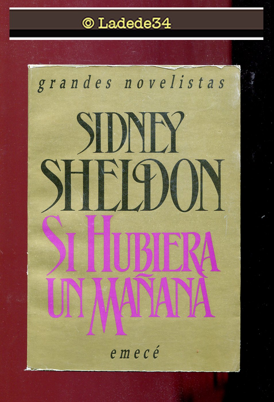 Si Hubiera Un Manana Books