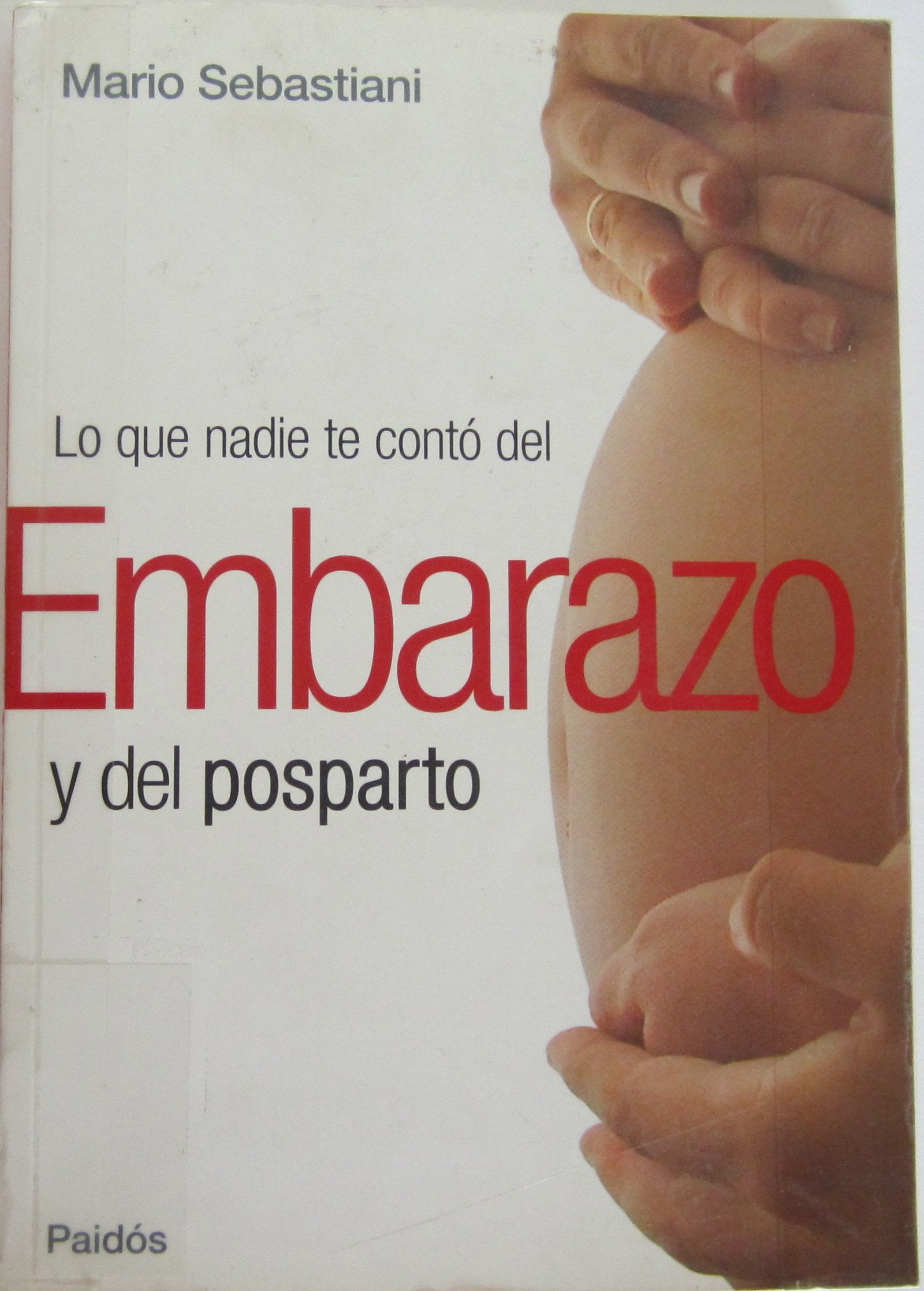 Lo Que Nadie Te Conto Embarazo Y Posparto Books