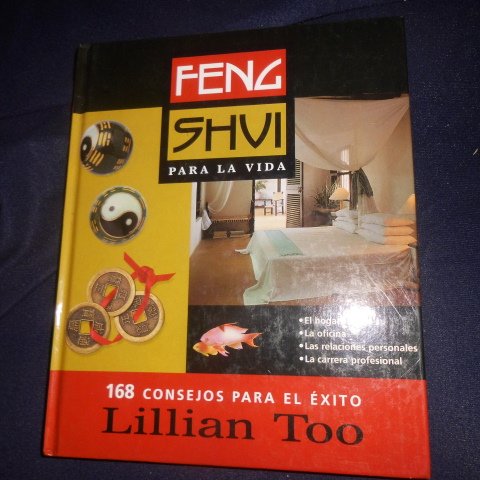 Feng shui para la vida: 168 consejos para el exito book