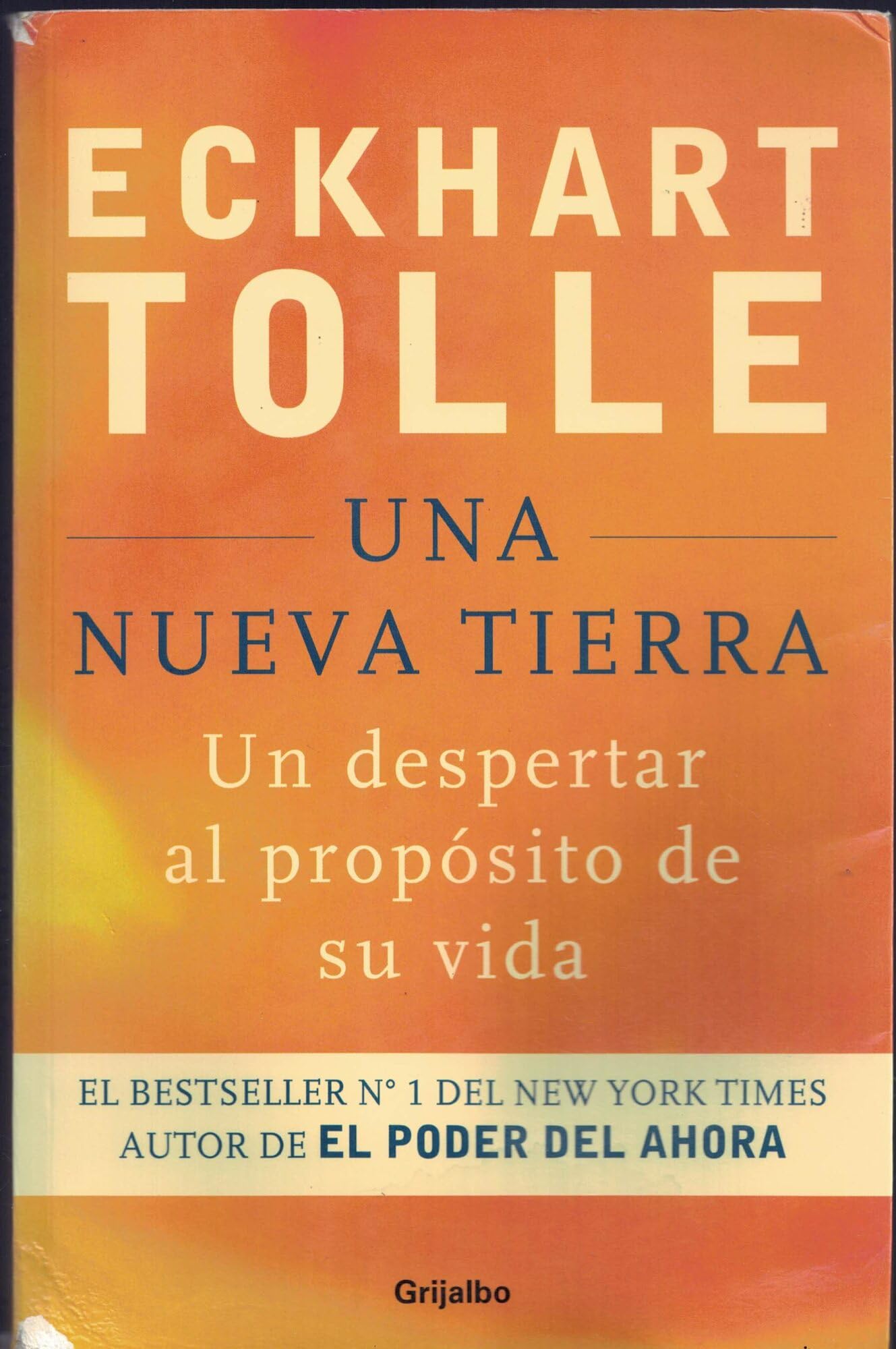 UNA NUEVA TIERRA (Spanish Edition) by Eckhart Tolle (2012-08-02) Books
