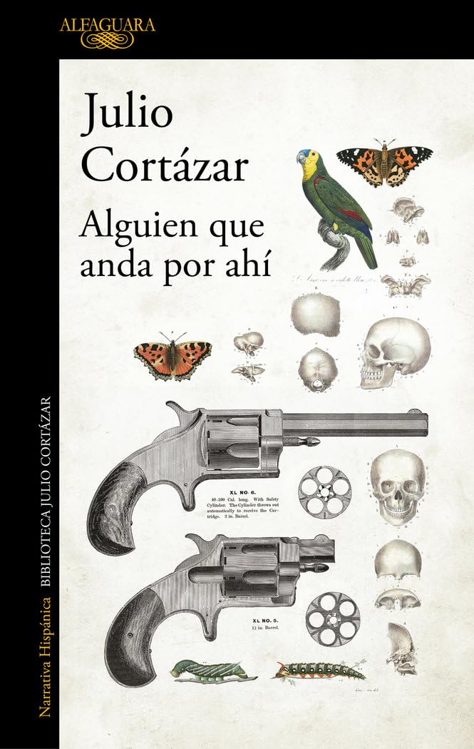 Alguien que anda por ahí book