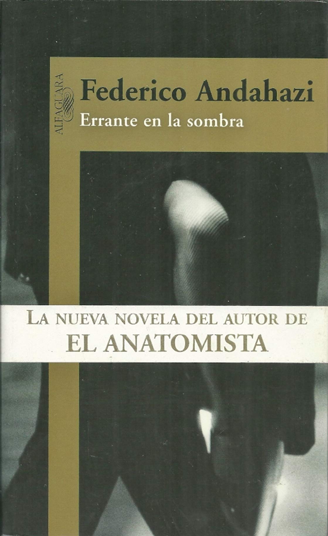Errante En La Sombra: Novela Musical (Spanish Edition) Contemporary literature