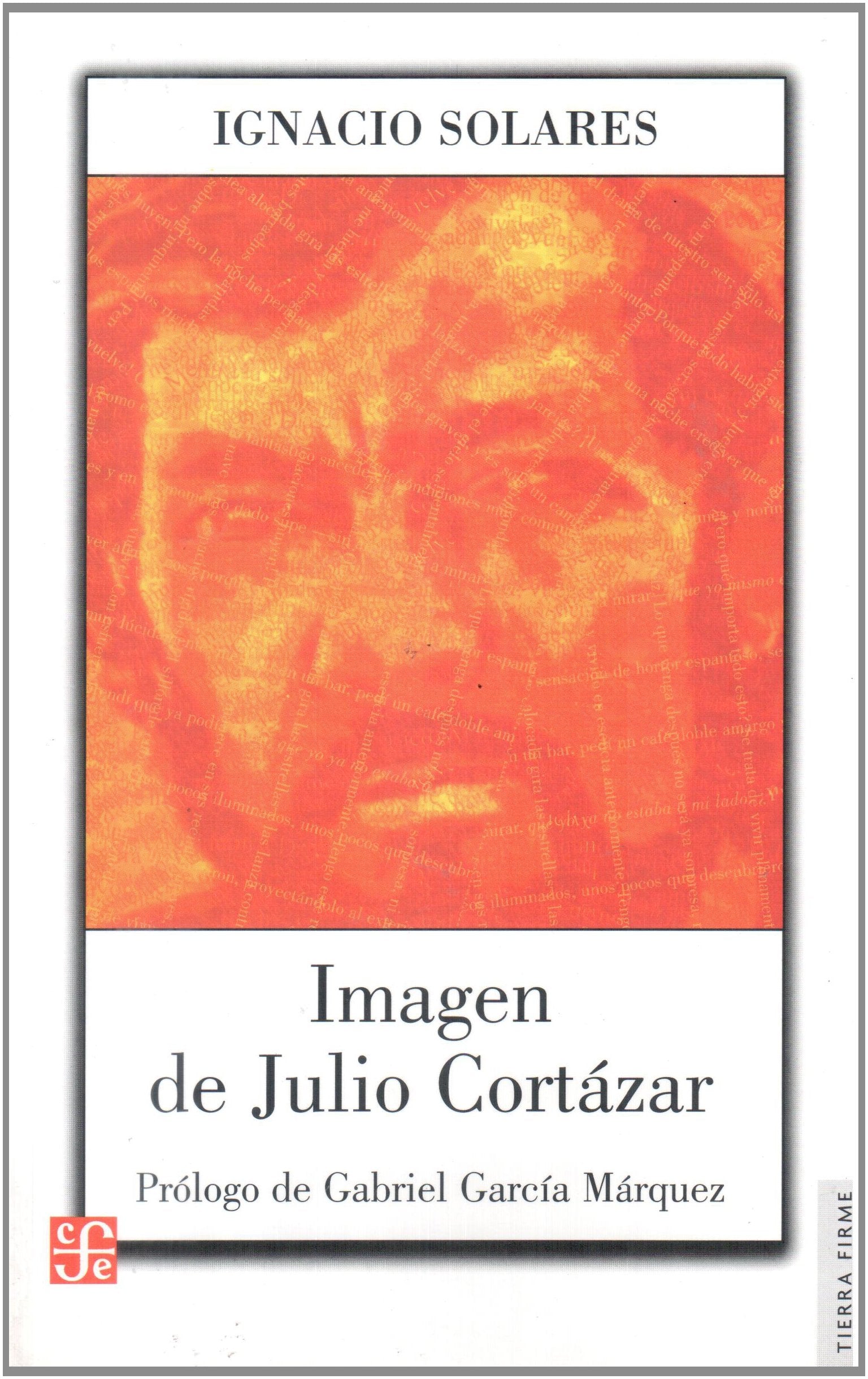 Imagen de Julio Cortazar/ Image of Julio Cortazar book