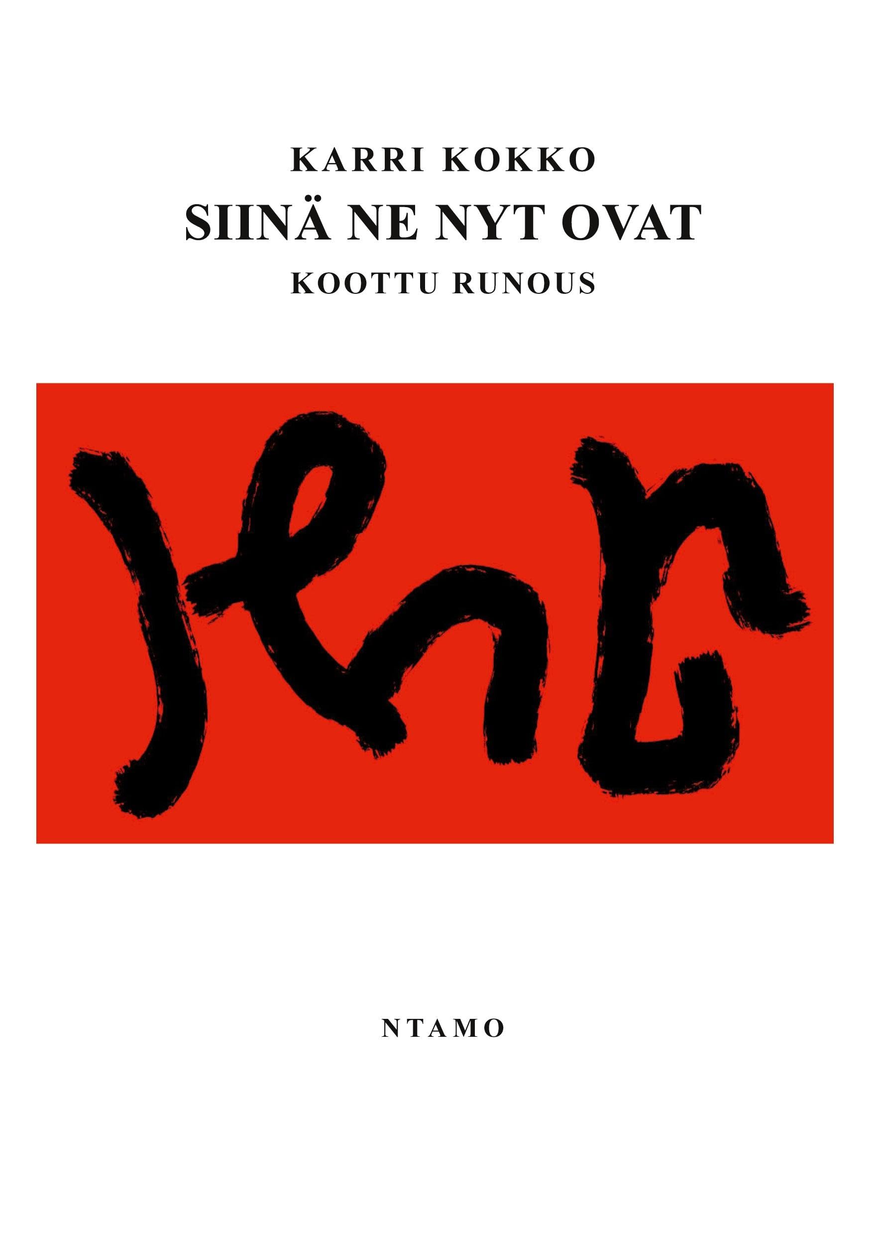 SIINÄ NE NYT OVAT Poetry