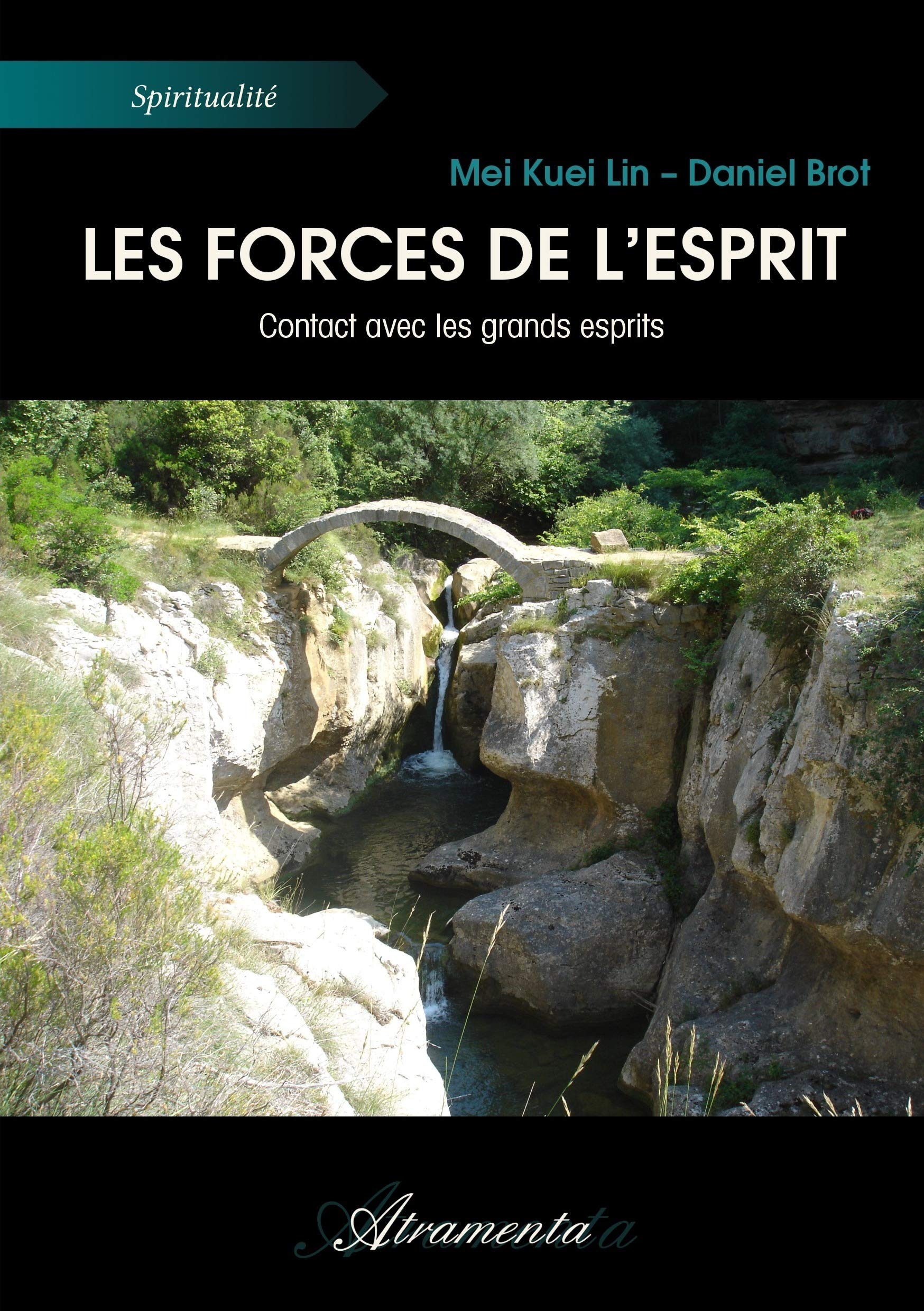 Les forces de l'Esprit - Contact avec les grands esprits book