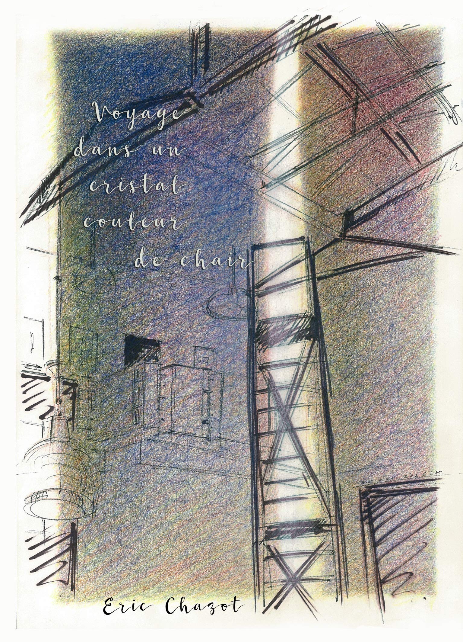 Voyage dans un cristal couleur de chair book