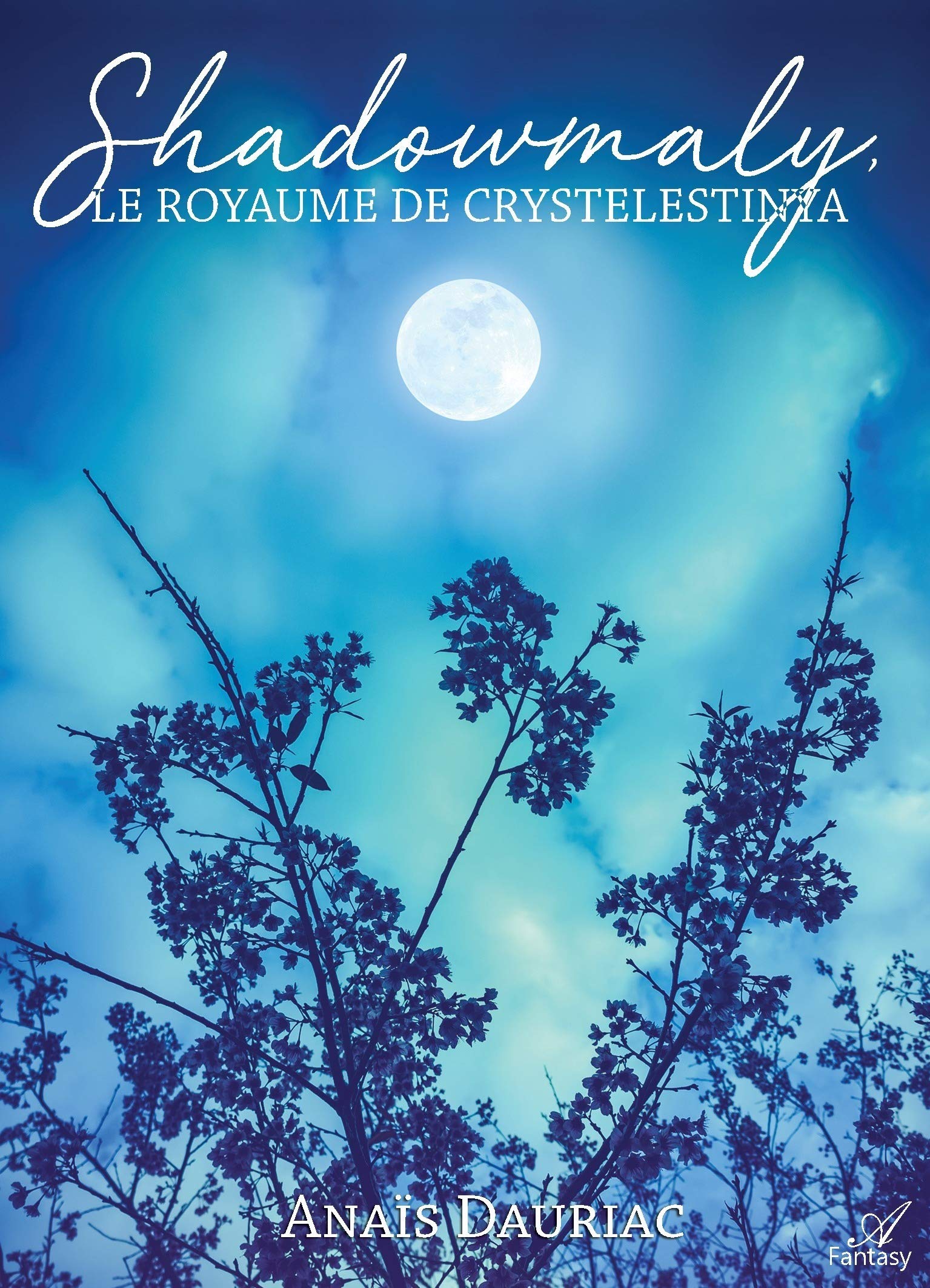 Shadowmaly, le Royaume de Crystelestinya Contemporary literature