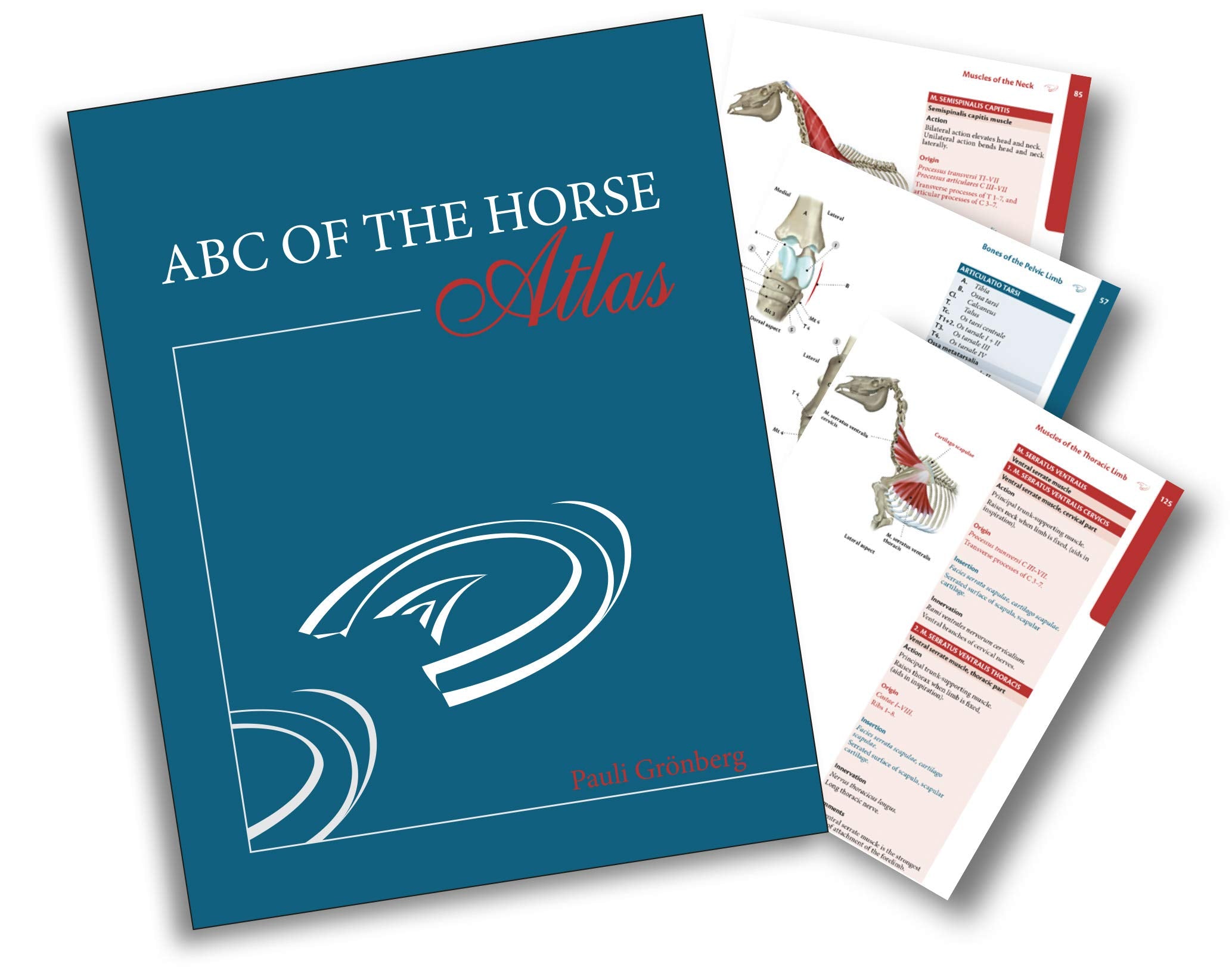 ABC of the Horse. Atlas Books