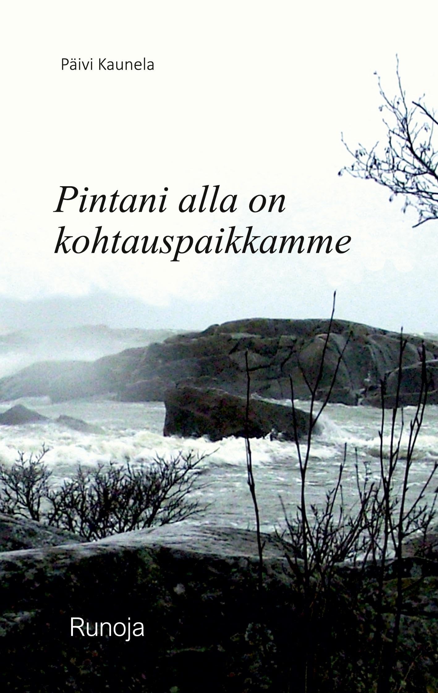 Pintani alla on kohtauspaikkamme Poetry