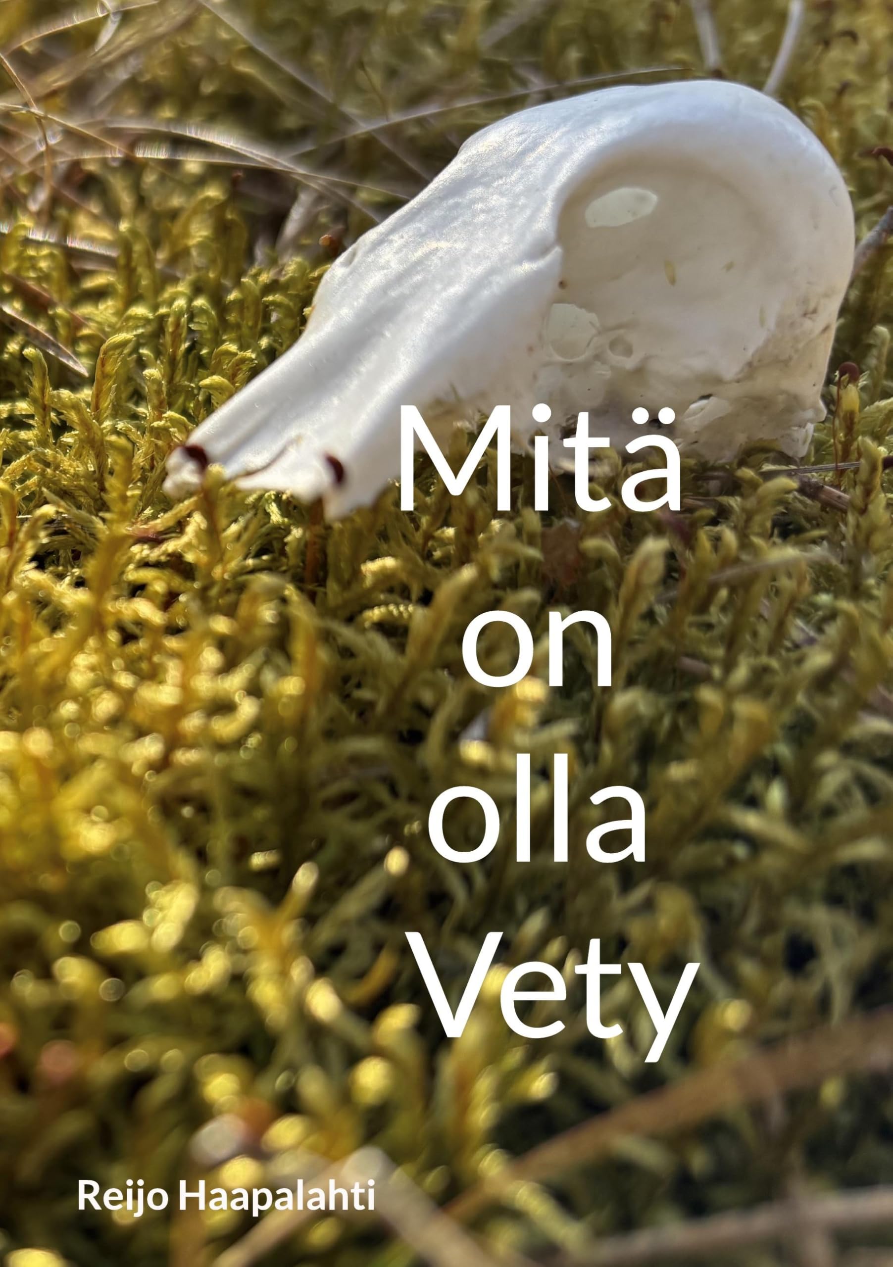 Mitä on olla Vety Contemporary literature
