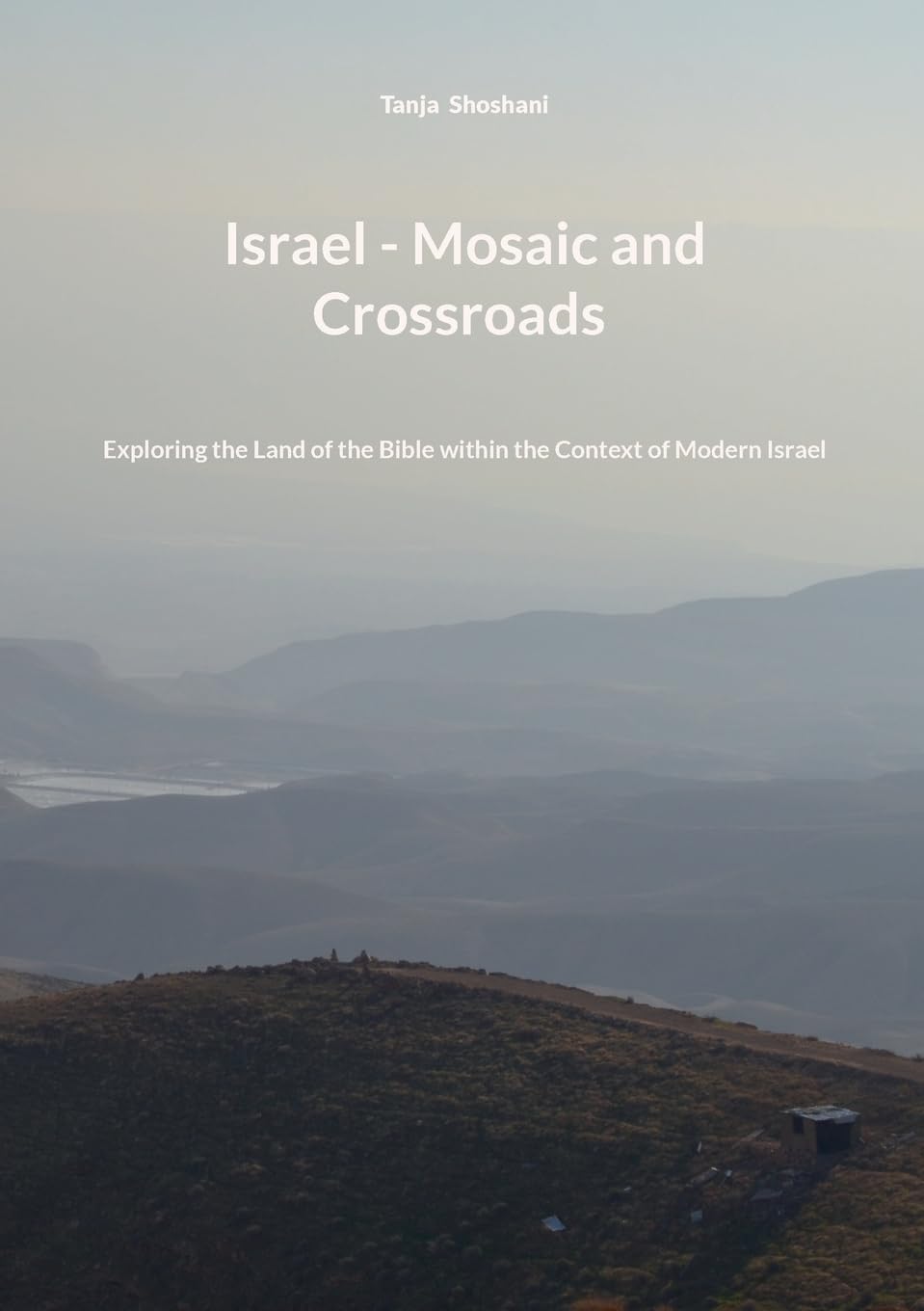 Israel - Mosaic and Crossroads Leisure, Home & Garden