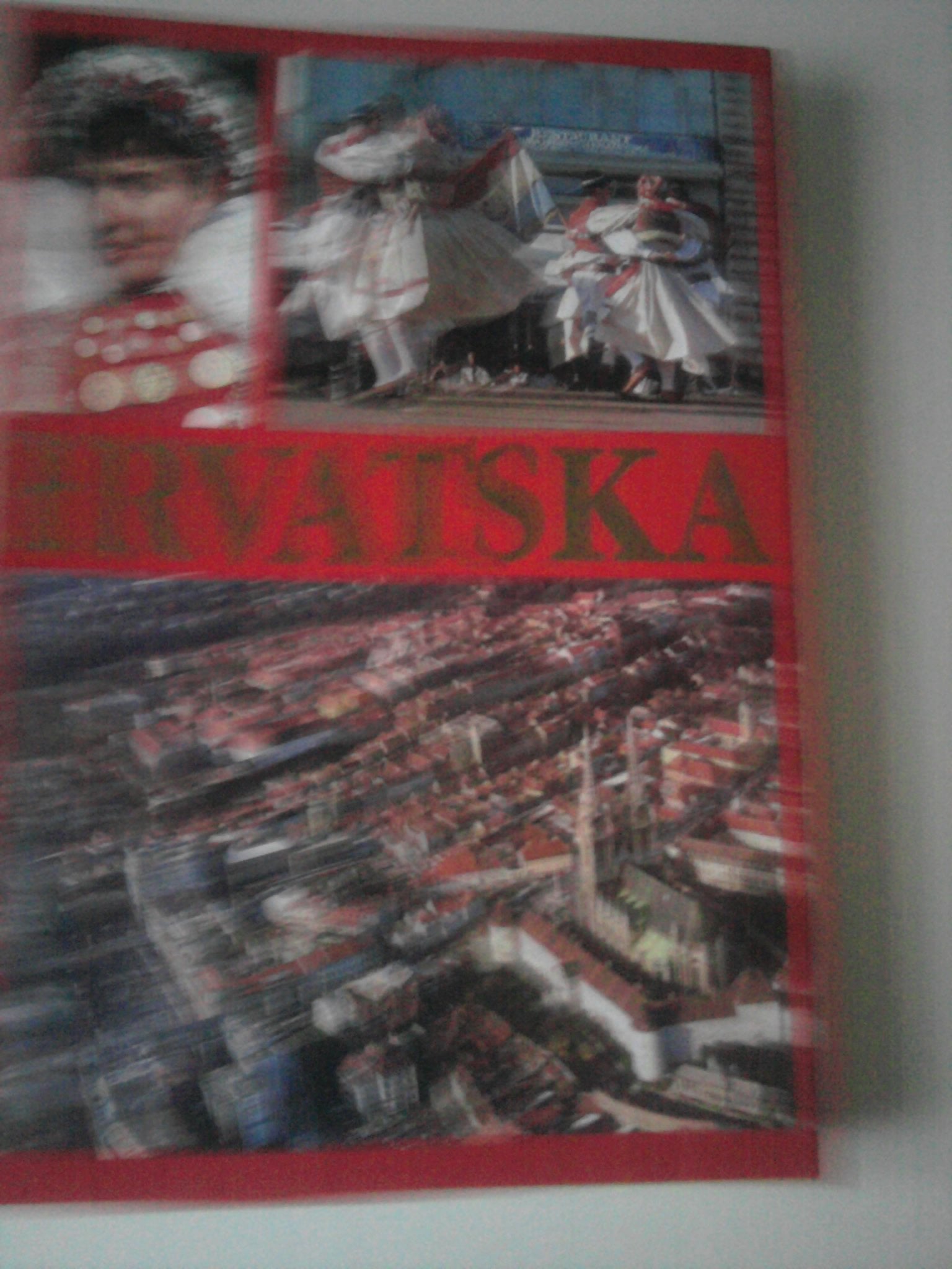Hrvatska Lijepa Nasa. Books