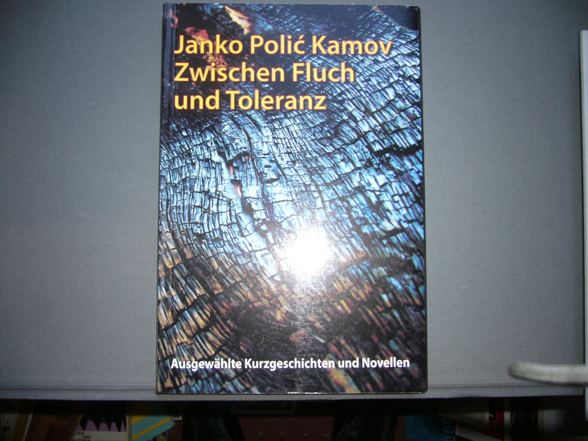 Zwischen Fluch und Toleranz. Ausgewählte Kurzgeschichten und Novellen (Biblioteka Val) Books