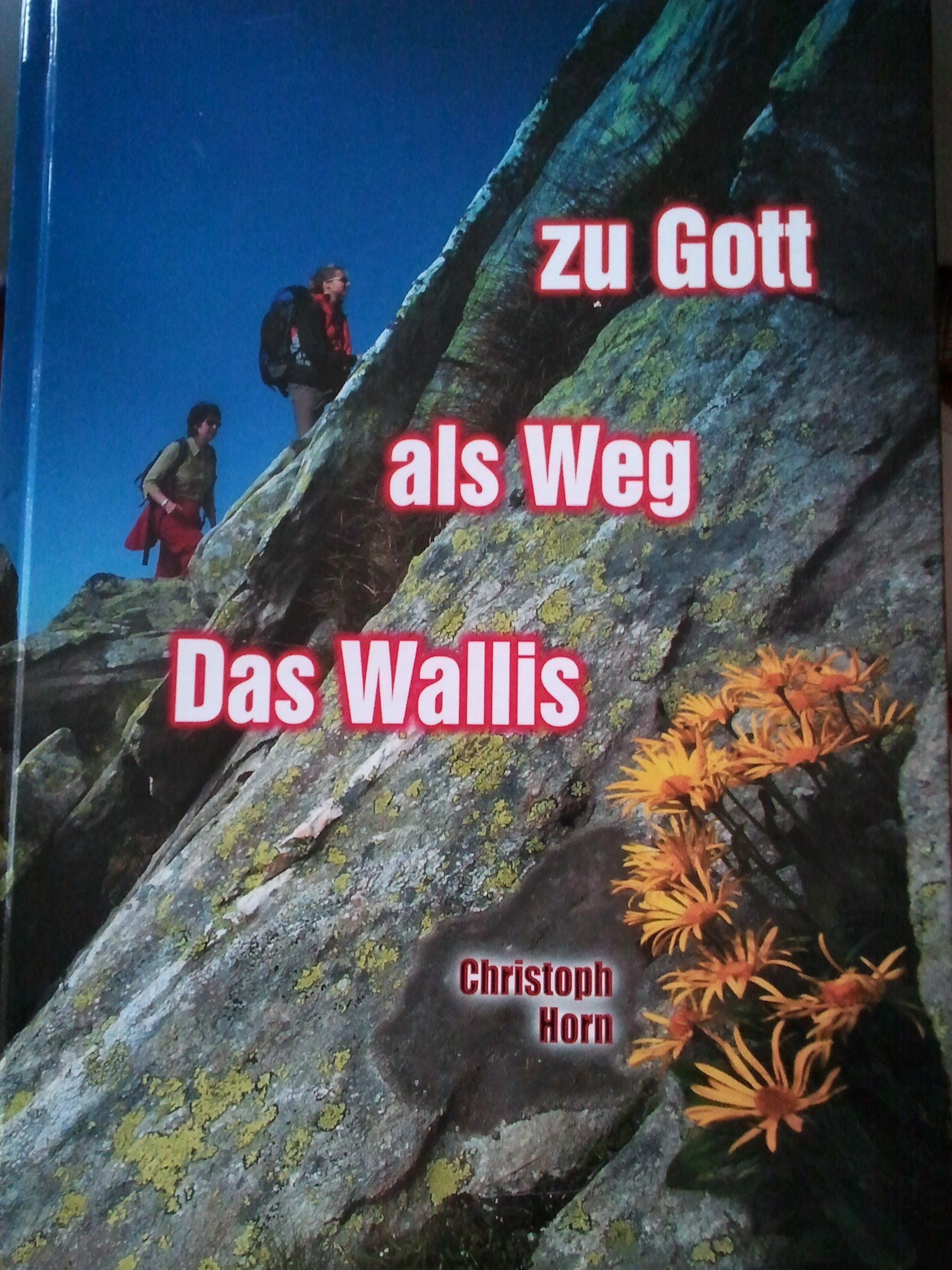 Das Wallis als Weg zu Gott Books