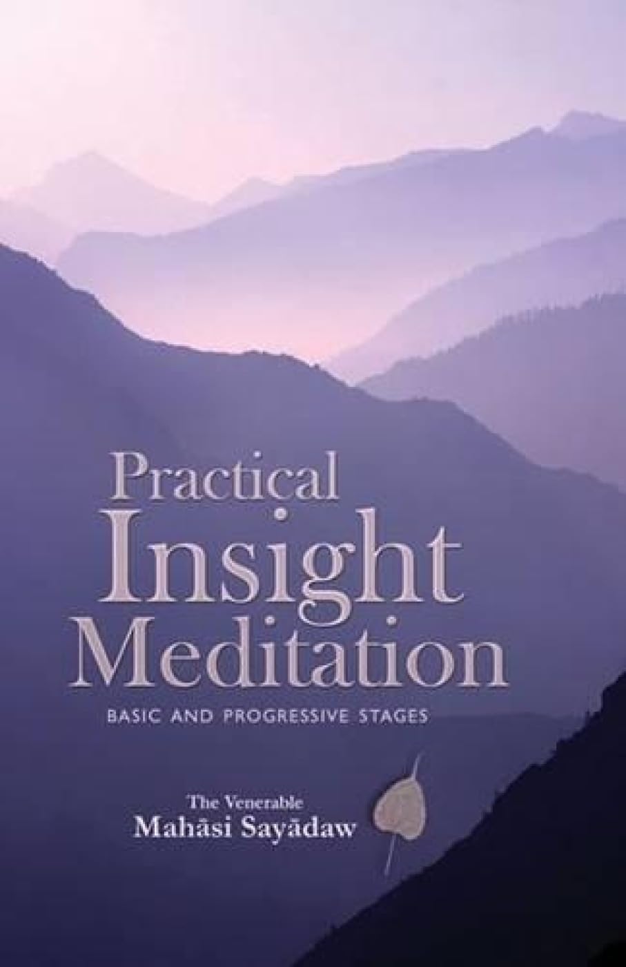 Product Image: Practical Insight Meditation: Basic and Progressive Stages