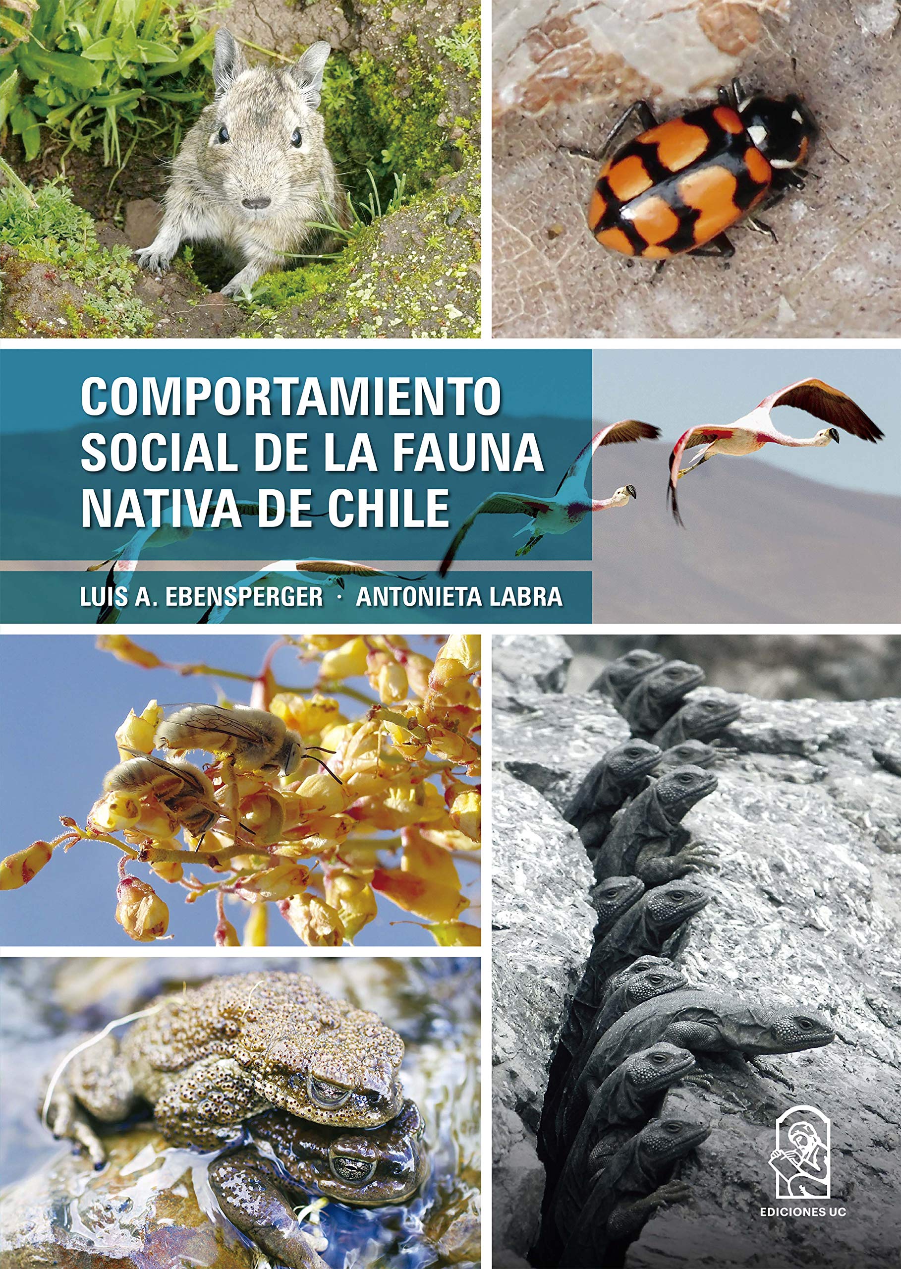 Comportamiento social de la fauna nativa de Chile Philosophy