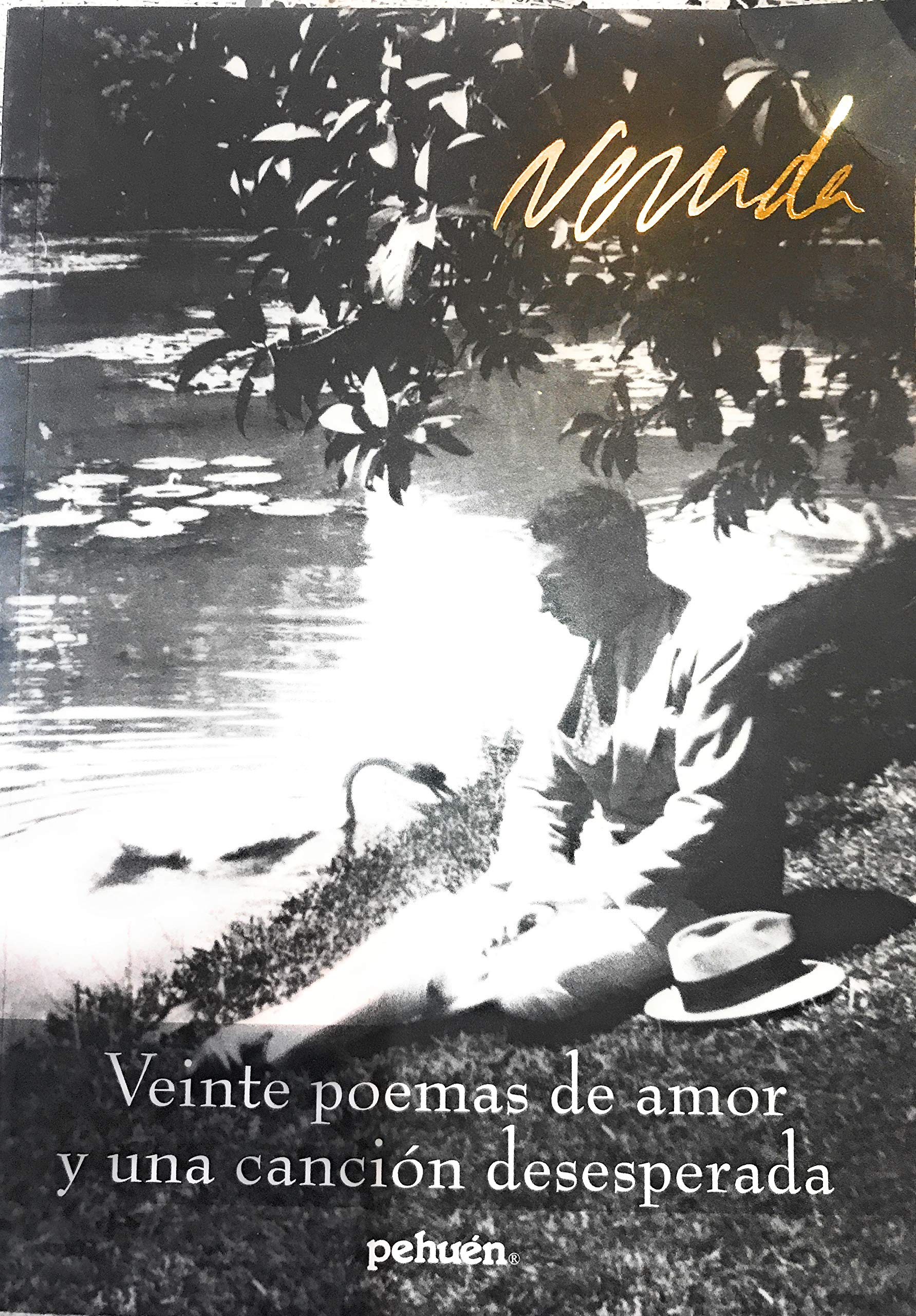 Veinte Poemas de Amor y Una Cancion Desesperada Poetry
