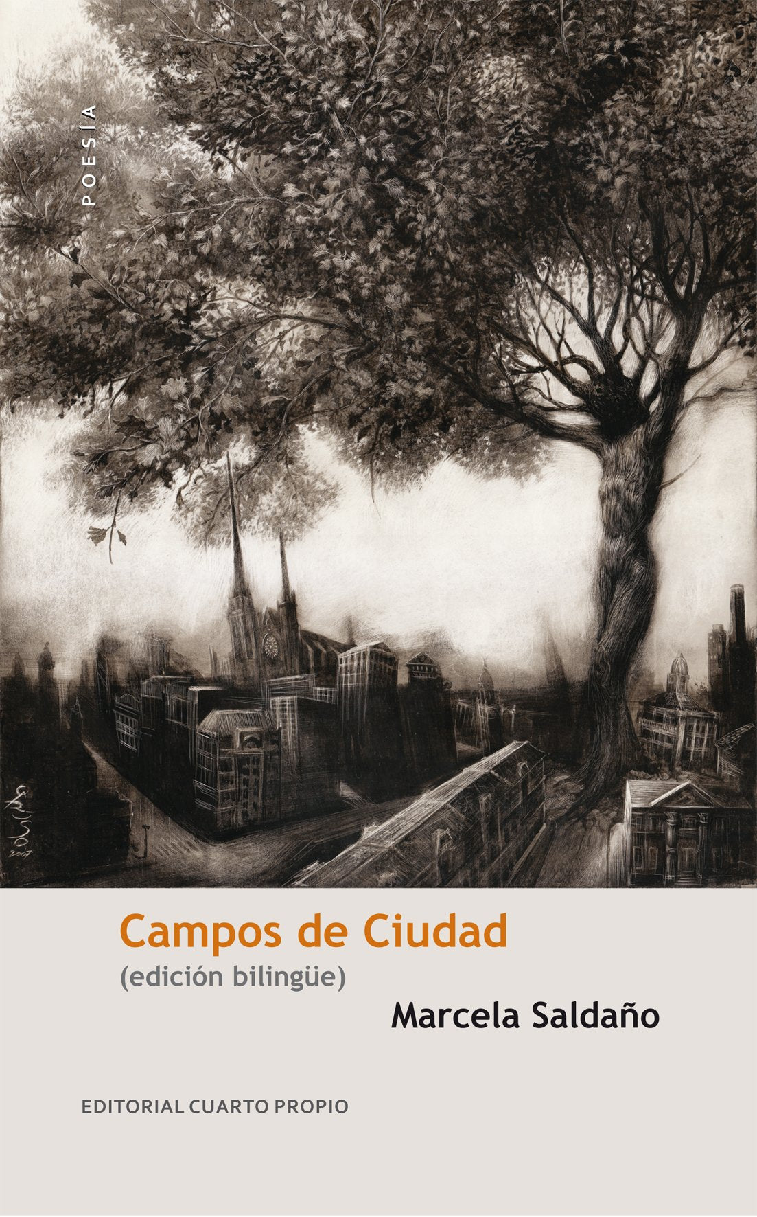 -campos-de-cuidad-de-marcela-saldana-editorial-cuarto-propio- book