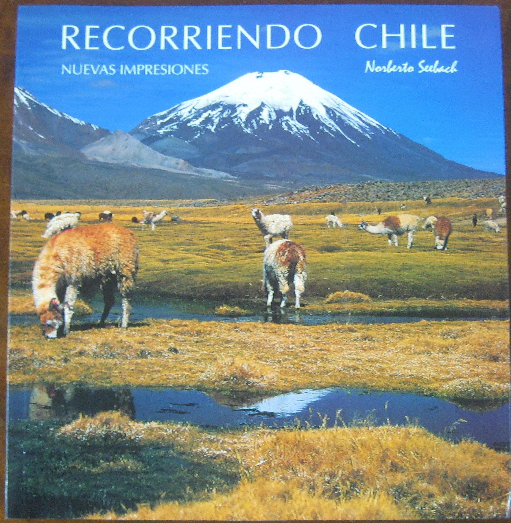 RECORRIENDO CHILE. Impresiones. TRAVELLING THROUGH CHILE. Impressions. UNTERWEGS IN CHILE. Eindrucke. Books